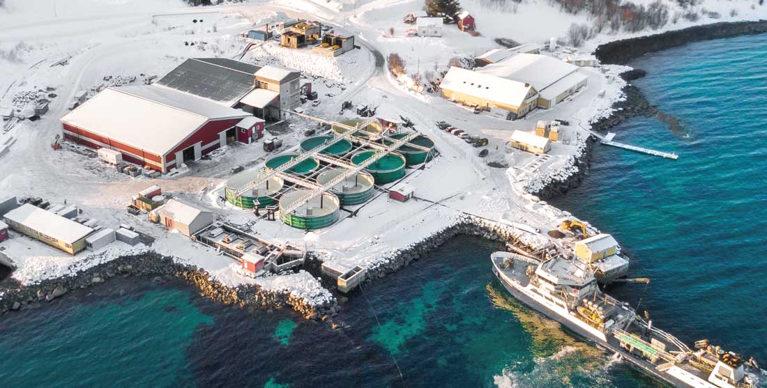 Lumarine seen from above